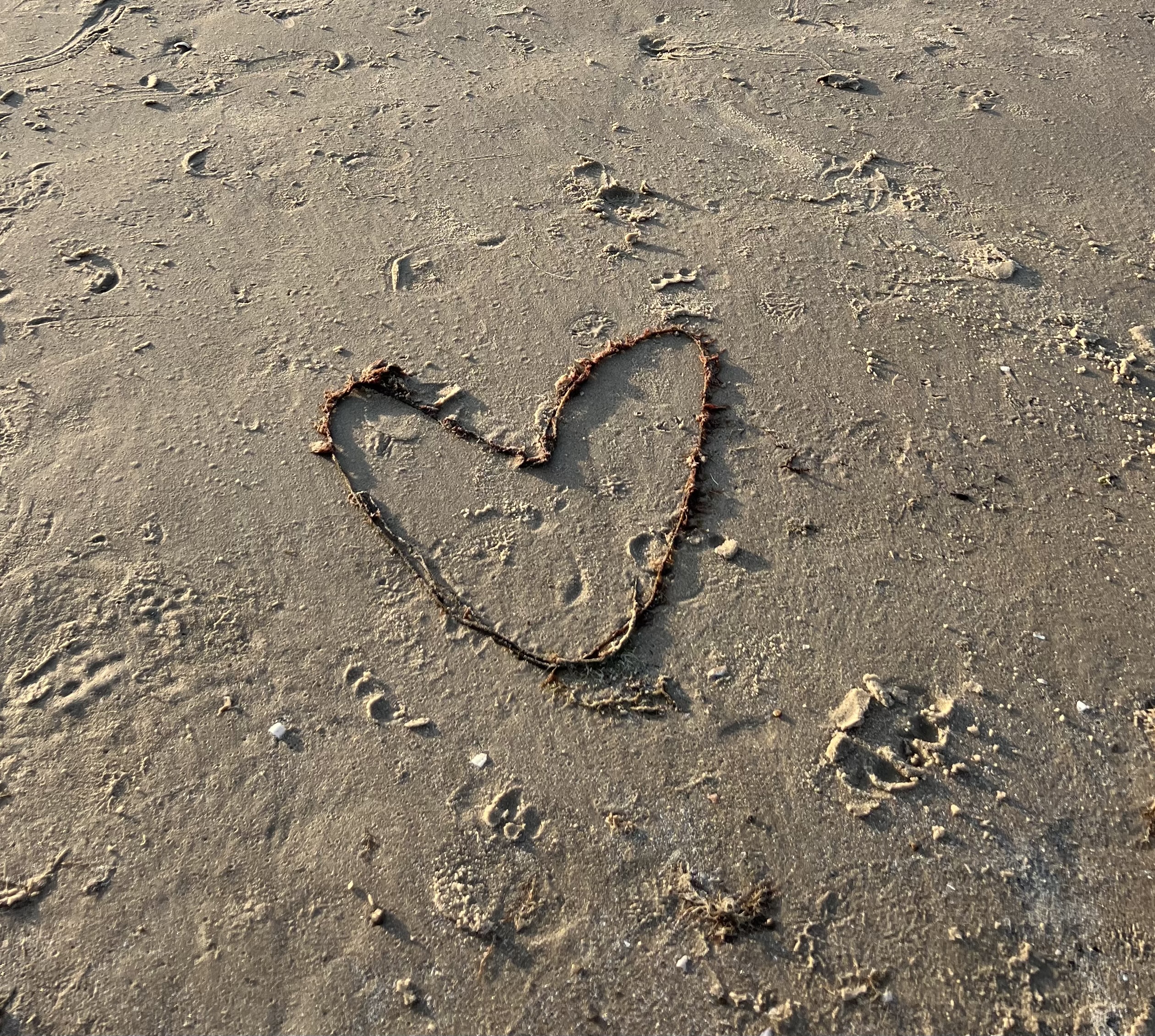 Hjerte ved stranden